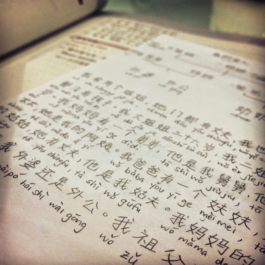 My Chinese homework